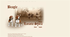 Desktop Screenshot of beagle.net.pl