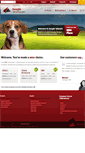 Mobile Screenshot of beagle.com.au